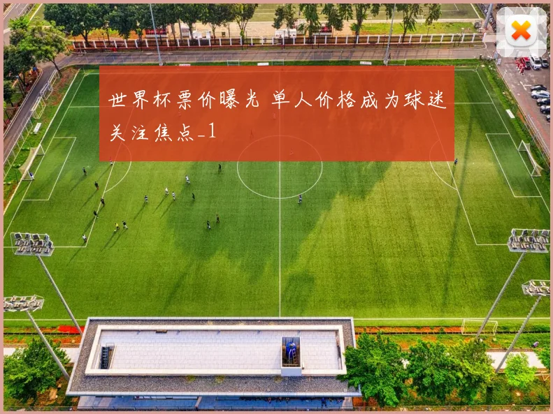 世界杯票价曝光 单人价格成为球迷关注焦点_1