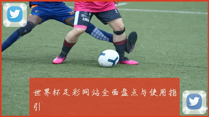 世界杯足彩网站全面盘点与使用指引