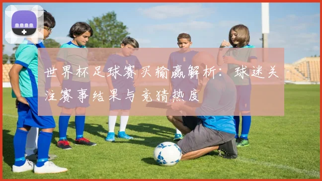 世界杯足球赛买输赢解析：球迷关注赛事结果与竞猜热度