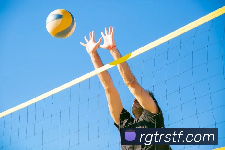 熊猫体育中国官方网站平台生态图